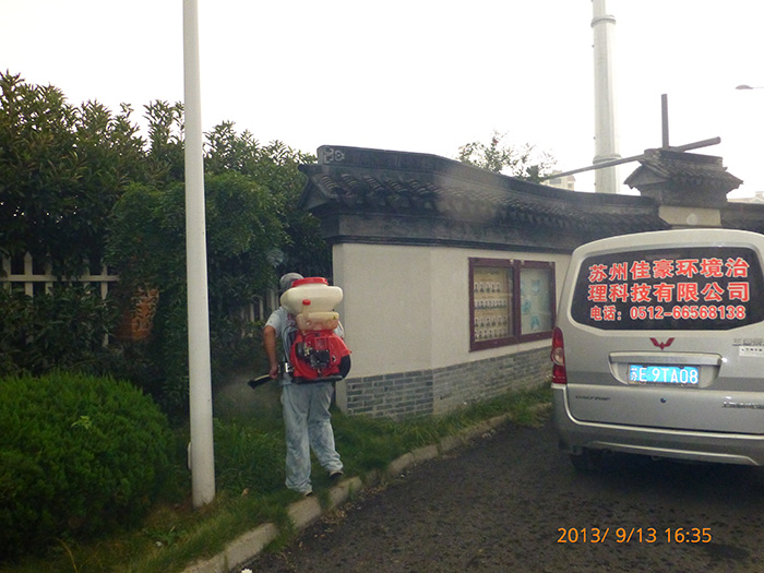 金龍33座